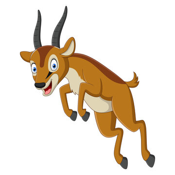 Funny impala cartoon jumping isolated on white background