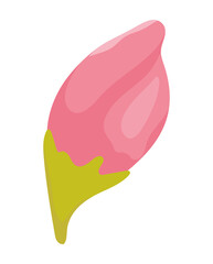 pink petals representation