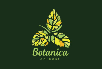 Logo with the inscription Botanica and painted leaves