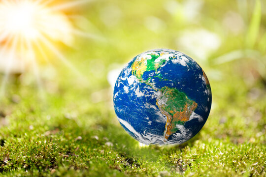 Earth globe on moss in a forest with copy space. Earth day, wolrd environment day, Eco friendly and sustainable concept, Elements of this image furnished by NASA