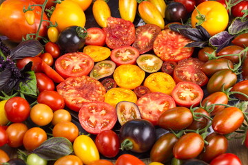Close-up. Fresh tomatoes of different colors, farm harvest beautiful bright background