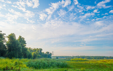 Cirrocumulus clouds in a blue sky in bright sunlight at sunrise in summer, Almere, Flevoland, The Netherlands, August 12, 2021