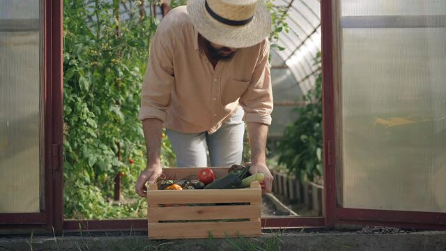 Unrecognizable bearded young farmer suffering sudden backache raising wooden box with ripe harvested crops. Unwell Caucasian man touching painful back leaning at greenhouse entrance