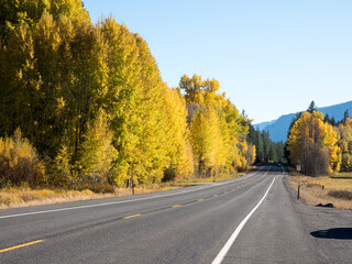 Fall foliage along US highway 2 in Cascade Mountains - Washington state, USA