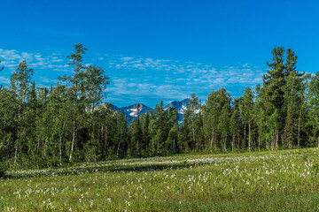 a trip to the celestial teeth in the summer