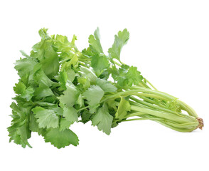 Fresh leaf celery isolated over a white background .