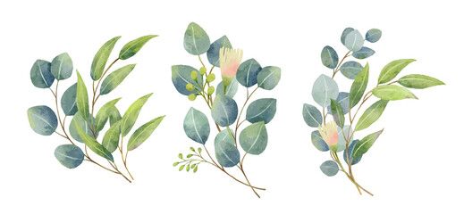 Eucalyptus leaves bouquet in a watercolor style. Floral and leaves bouquets arrangements.