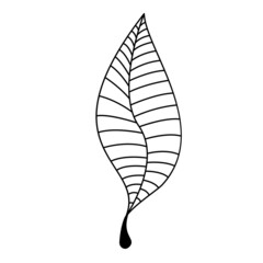 Autumn vector line hand - drawn leaves. EPS10