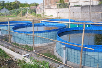 Artificial pond for fish farming.