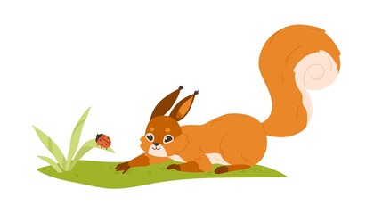 Cute small squirrel playing with ladybug in nature. Forest rodent with bushy tail hunting on bug. Happy adorable wild animal on grass. Flat vector illustration isolated on white background