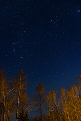 Naklejka premium Night Sky