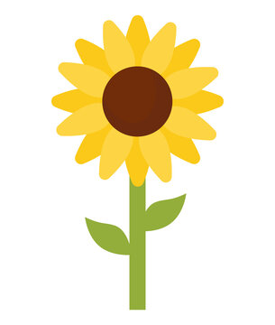 yellow sunflower design