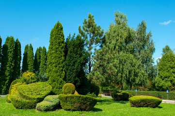 Summer in a landscape park...Trees and bushes in green clothes.