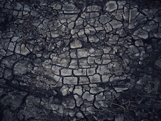 dry earth texture