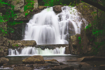 Fototapeta premium waterfall in the forest