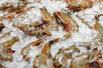 Fresh raw shrimps close up lying on ice in supermarket