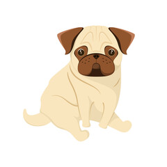 Cute pug on a white background. A dog in a cartoon design.