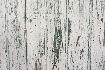 texture  Old wood color White  background