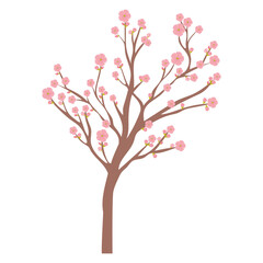 Obraz na płótnie Canvas sakura tree design