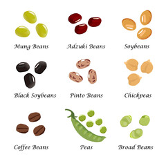 Set of beans on white background, Hand drawn icons vector illustration