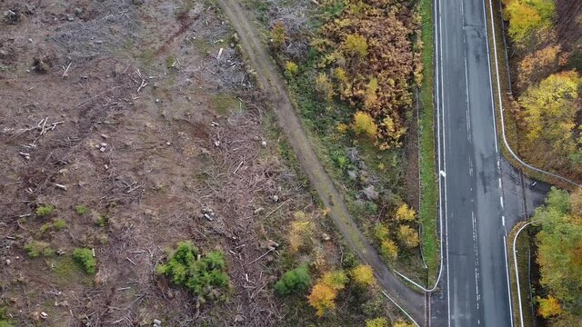 Sch&auml;den durch den Borkenk&auml;fer im Siegerland (NRW)