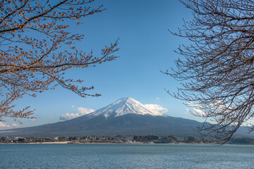 The beautiful scenery of Fuji Mountain and Sakura Branches at Kawaguchiko Lake in Spring, Japan.