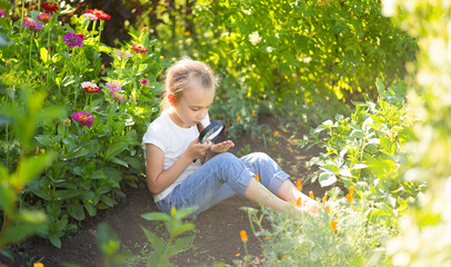 Little girl examines flowers in a magnifying glass in the garden