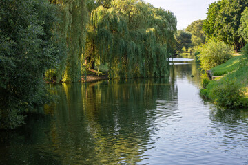 Calm water canal in a summer city park with many trees along the banks