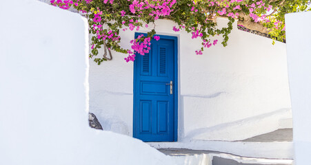 White cycladic architecture with blue door and pink bougainvillea flowers on Santorini island,...
