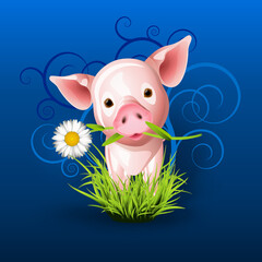 Little pink pig in grass over blue