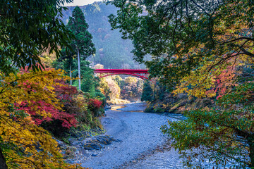 Fototapeta na wymiar 【東京都】奥多摩の紅葉風景 