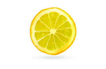 lemon slice vector illustration isolated on white background.