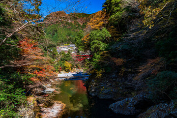 【東京都】奥多摩の紅葉風景	
