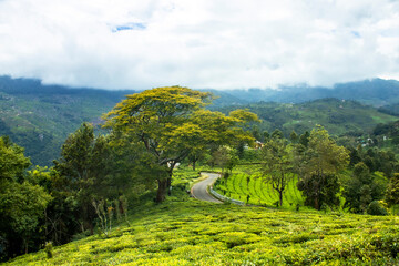 Obraz premium landscape in the mountains
