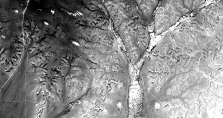 the enchanted forest   Black and white photo, abstract photography of landscapes of the deserts of...