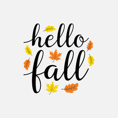 Fototapeta premium Hello fall vector illustration, autumn lettering in isolated background for greeting card, banner, poster, label and post card