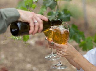 a man pours white wine from a bottle into a woman's glasses against the background of a vine. Hands close-up