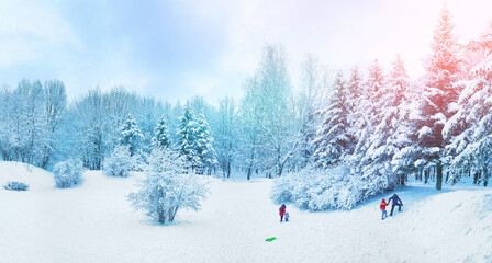 Beautiful winter landscape with snow, forest snow-covered fir trees, blue sky and walking children with parents ​in shining sunny day. Wide panorama format.