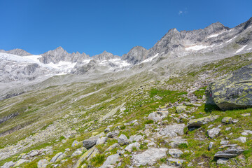 Summer alpine peaks with melting glacier on sunny day. Reichenspitze ridge in Zillertal Alps, Austria