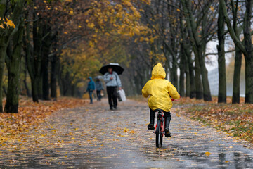 Boy in yellow raincoat rides bicycle along the alley of an autumn park. Rear view