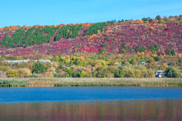 Village located at the foot of the hill . Autumn countryside with river . Colorful coastal hill