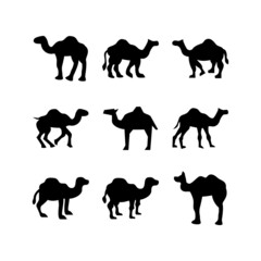 camel icon or logo isolated sign symbol vector illustration - high quality black style vector icons
