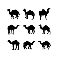 camel icon or logo isolated sign symbol vector illustration - high quality black style vector icons
