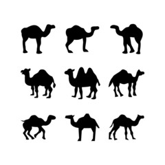 camel icon or logo isolated sign symbol vector illustration - high quality black style vector icons
