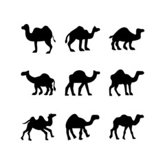 camel icon or logo isolated sign symbol vector illustration - high quality black style vector icons
