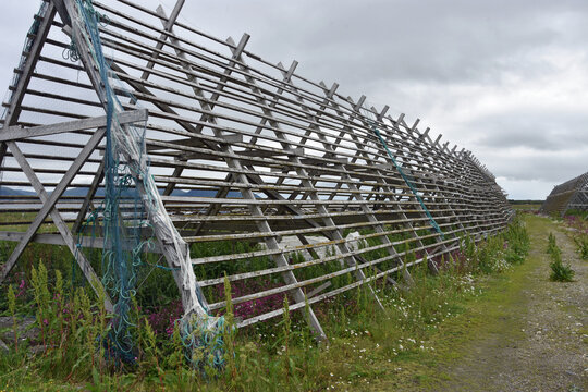Stockfish scaffolding without fish