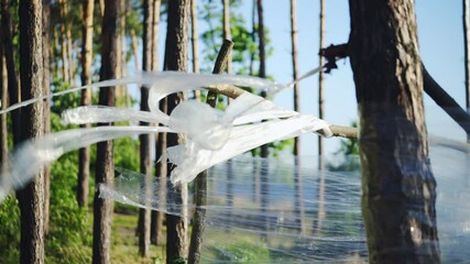 Strange place in forest with trees wrapped in plastic film, crime scene, danger