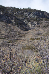 river in the mountains