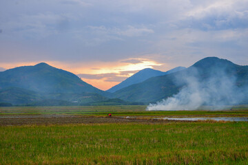 Obraz premium landscape with fog