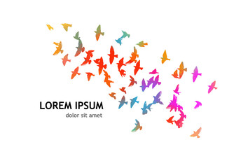 A flock of colorful birds. Vector illustration